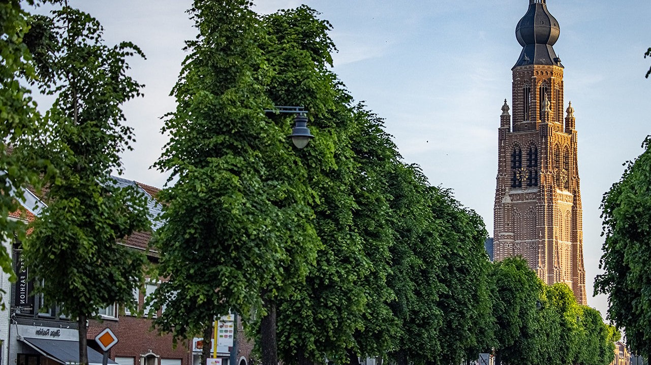 Hoogstraten: Glas- en tuinonderhoud