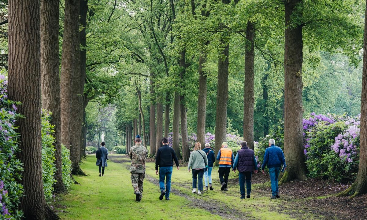 Wuustwezel: Glas- en tuinonderhoud