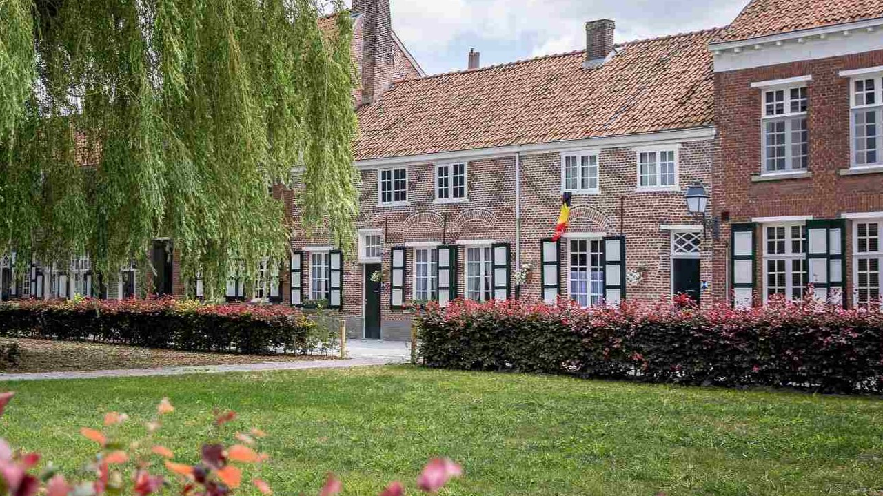 Turnhout: Glas- en tuinonderhoud