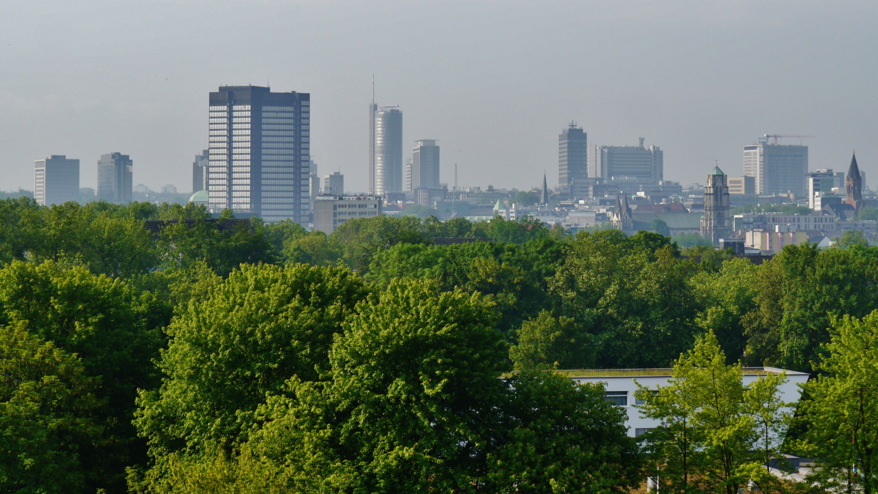 Essen: Glas- en tuinonderhoud
