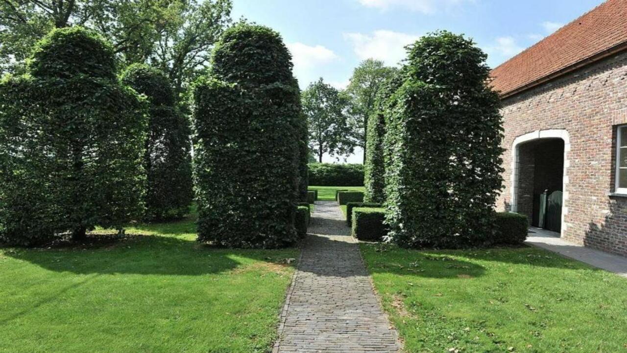 Rijkevorsel: Glas- en tuinonderhoud